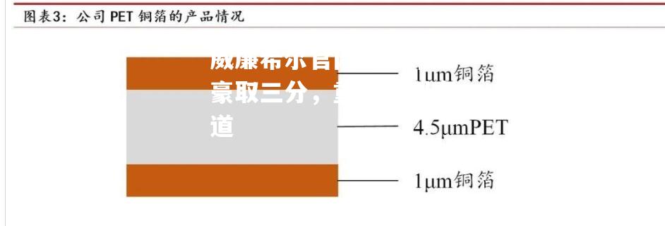 瑞恩队豪取三分，重回胜利赛道